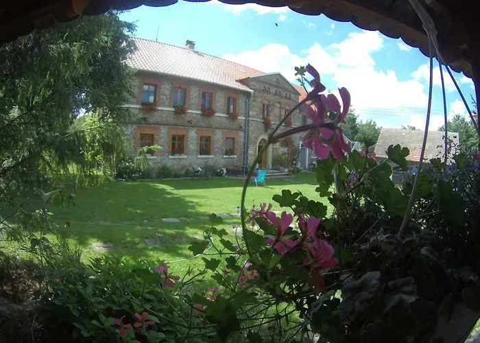 Polana